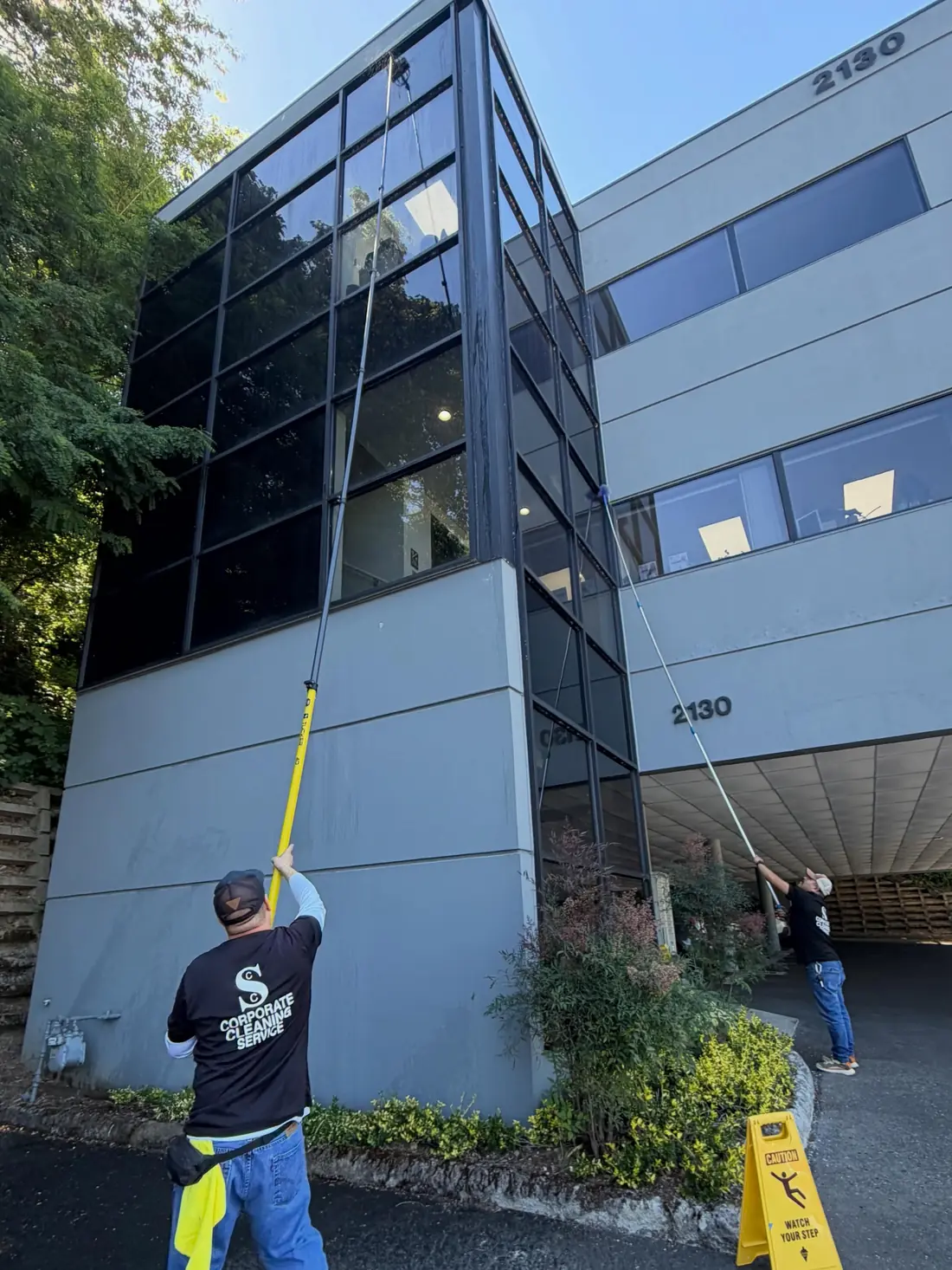 Window technician cleaning upper-story glass with a water-fed pole